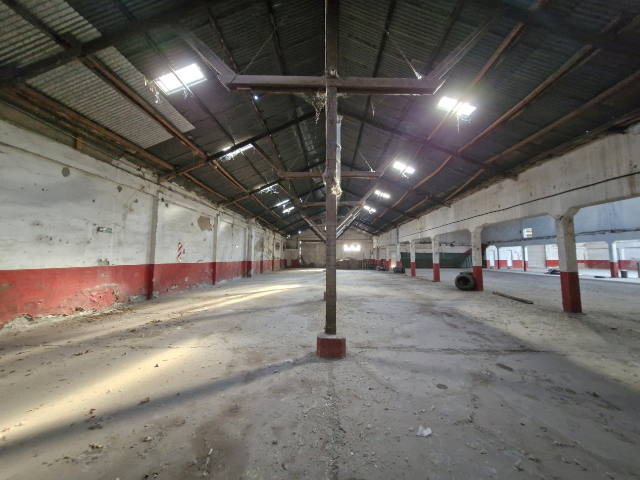 GALPON EN B° SAN PABLO - CIPOLLETTI
