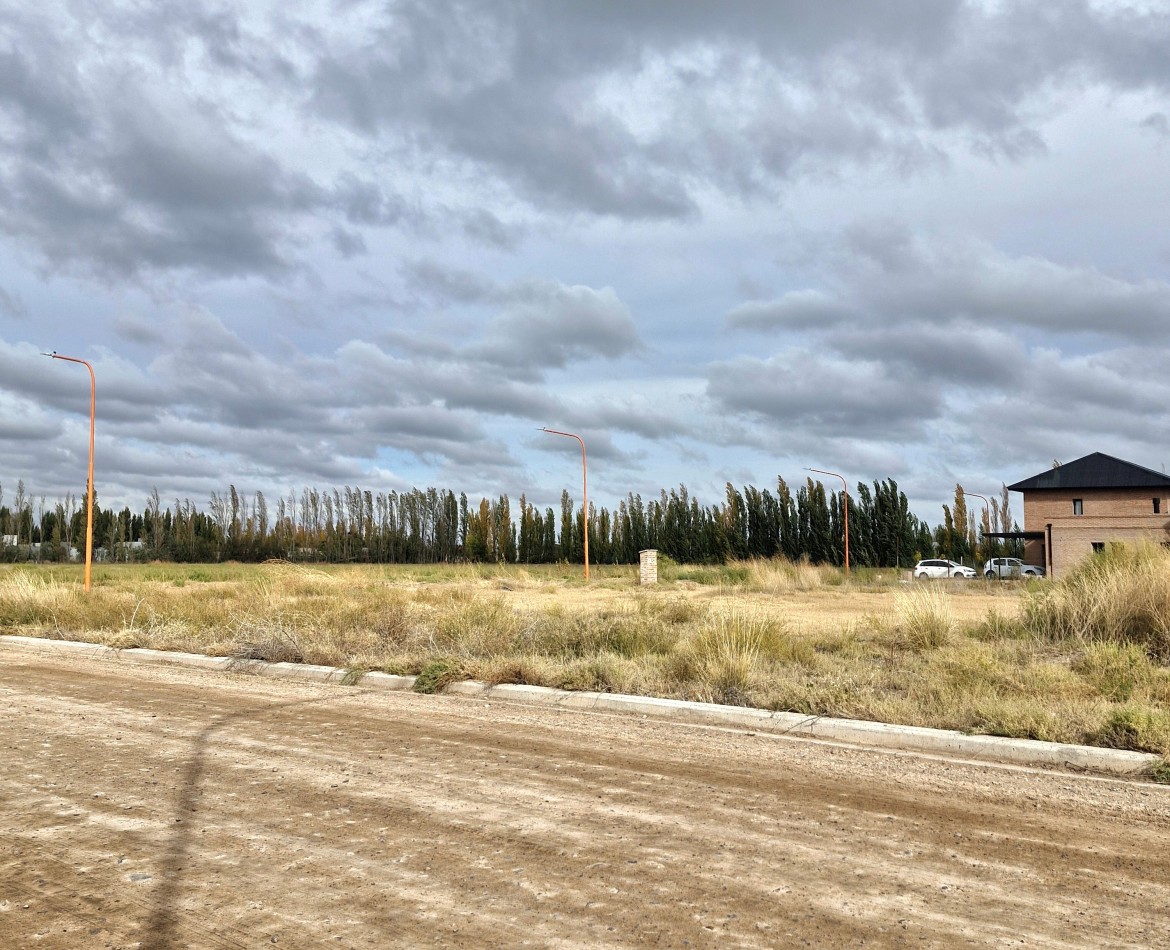 VENTA | TERRENO EN MANZANARES DE GINES | CIPOLLETTI