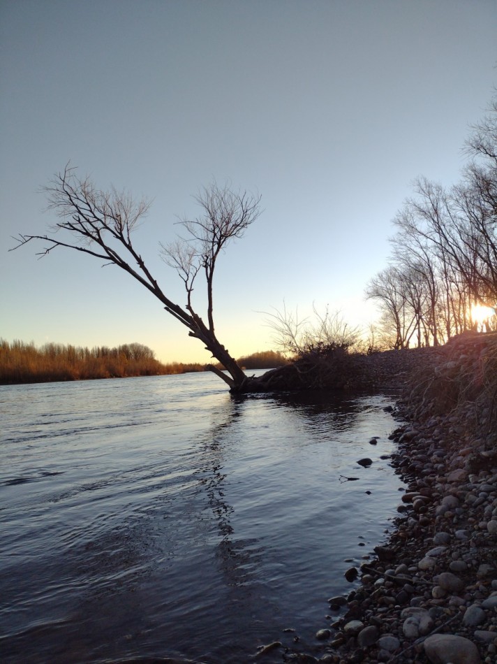 TERRENOS EN B° LA HERRADURA DEL LIMAY | PLOTTIER